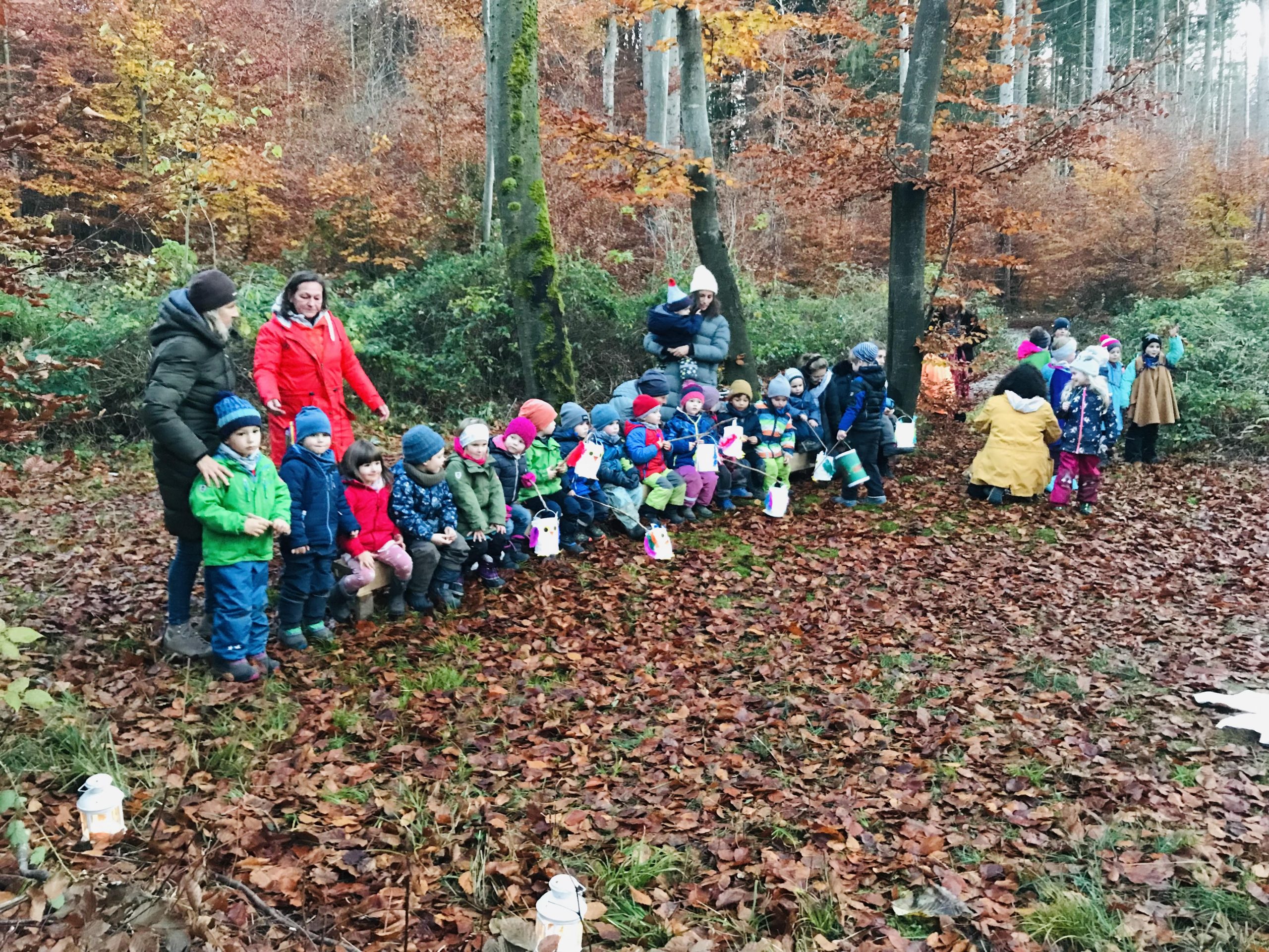 Sankt Martin im Lichterwald